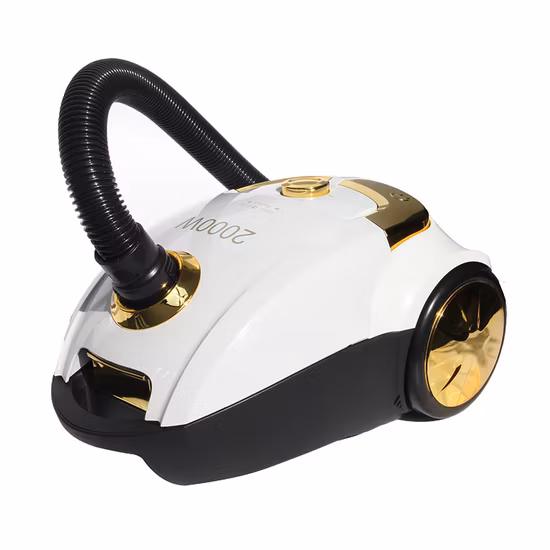 Aspirateur traîneau forte puissance d'aspiration nouveau style aspirateur portable avec sac avec HEPA